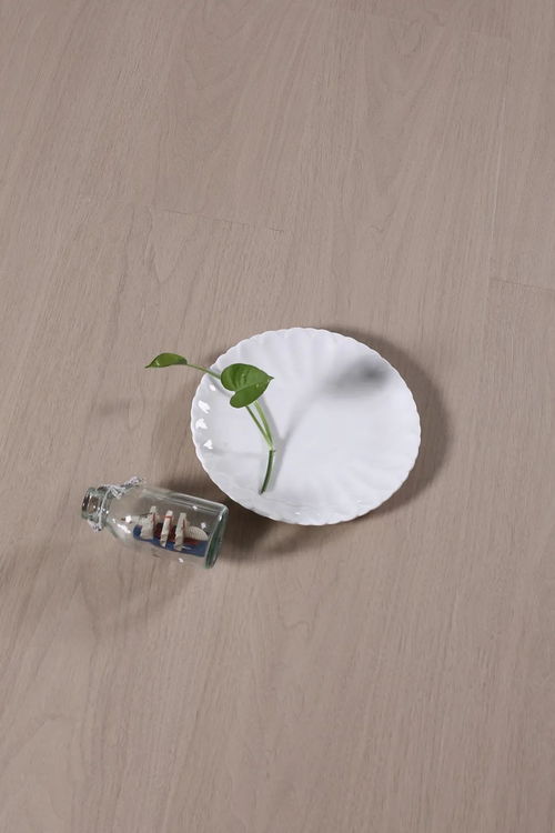 純真系列 肯帝亞地板麥秸畫(huà)產(chǎn)品圖賞析