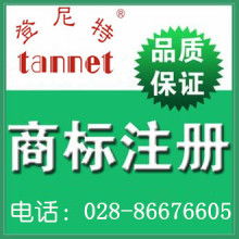 版權代理 文化產業(yè)的隱形守護者與商業(yè)橋梁